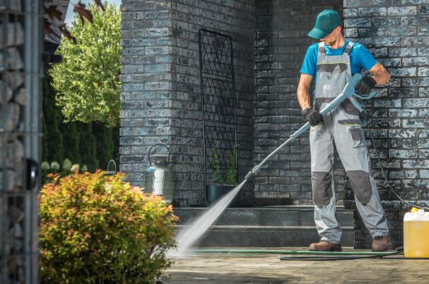 Animal Enclosure Cleaning in Bodega Bay, CA